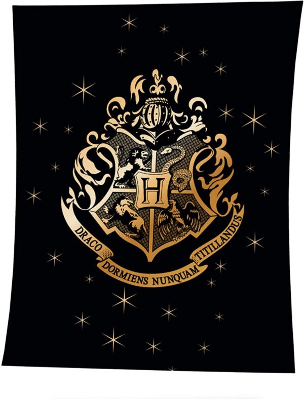 Manta de Forro Polar Harry Potter Negra